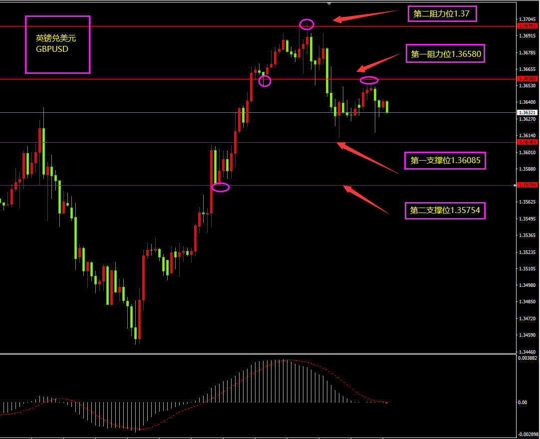 每日汇评