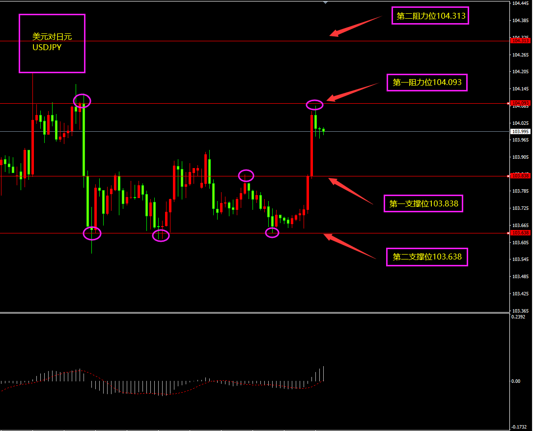 每日汇评
